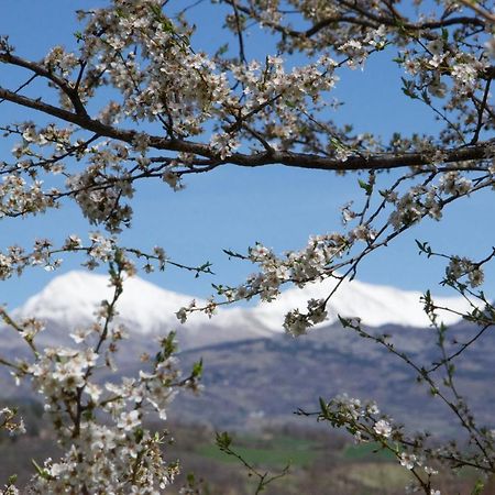 فيلا La Genevraie غاب المظهر الخارجي الصورة