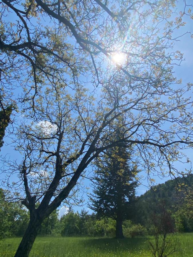 فيلا La Genevraie غاب المظهر الخارجي الصورة